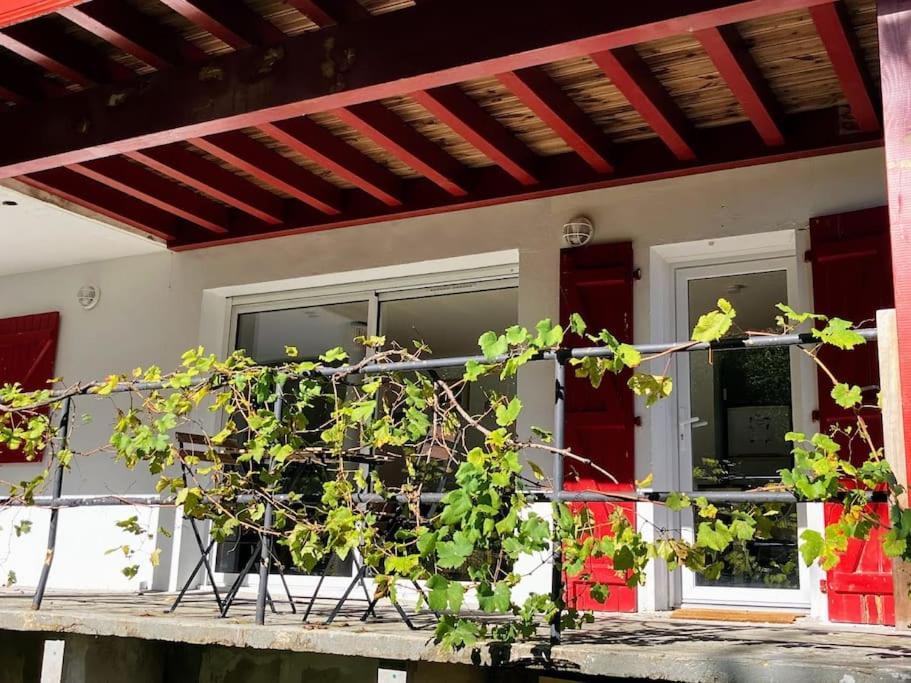 Lagunen Etxea Hendaye Buitenkant foto